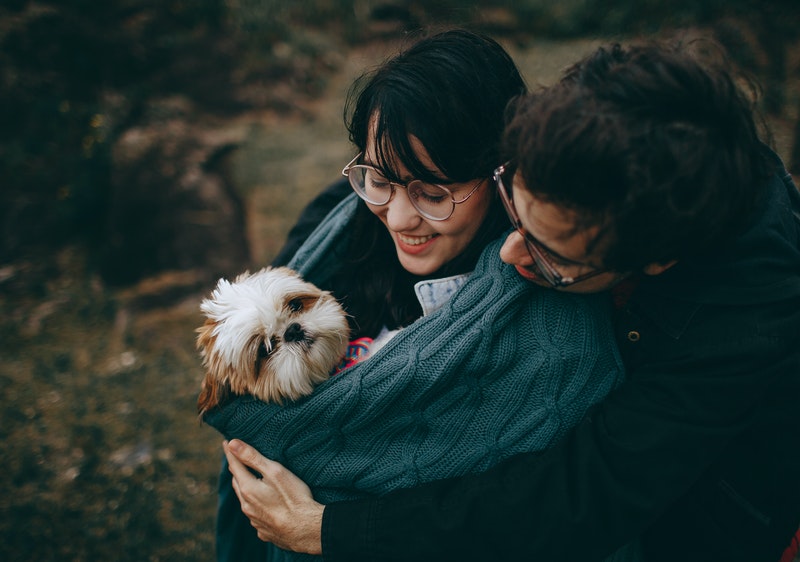 Travel with Pet